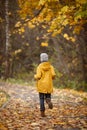 Back view on running kid boy. Child walking in the park on autumn day. Countryside lifestyle Royalty Free Stock Photo
