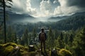 Back view of seated man on lookout, absorbing panoramic forest landscape