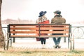 Back view of a senior couple sitting on bench in autumnal park Royalty Free Stock Photo