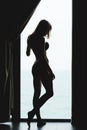 Back view of sensual beautiful young female silhouette Royalty Free Stock Photo