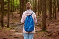 Back view of slim athletic tourist hiker girl withblue backpack walking through mountain pine forest. Female spending time in open Royalty Free Stock Photo