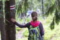 Back view of slim tourist hiker girl with stick and backpack holding hand on pine tree trunk with way sign in lit by sun mountain Royalty Free Stock Photo