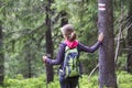 Back view of slim tourist hiker girl with stick and backpack holding hand on pine tree trunk with way sign in lit by sun mountain Royalty Free Stock Photo