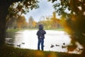 Back view of small little boy looking at the pond with ducks in the city park. Autumn time. Ducks swim in the pond Royalty Free Stock Photo