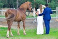 Back view of stylish newlyweds stand near horse