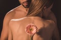 back view of tender lovers hugging and holding gerbera flower, Royalty Free Stock Photo