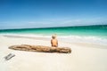 Back view of a thoughtful boy , child, sitting on the wood at the tropical beach near water at a sea shore. Summer vibes. Tourism Royalty Free Stock Photo