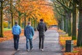Back view of three men walking on a treelined path in Greenwich park during autumn season