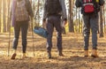 Cropped image of three hikers crossing forest in autumn