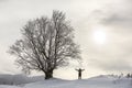 Back view of tourist hiker with backpack standing in white clean deep snow at big tree on background of woody mountains and cloudy Royalty Free Stock Photo