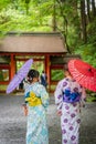 Back view of woman wearing Japanese yukata summer kimono Royalty Free Stock Photo