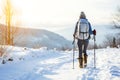 Back view of a woman hiking alone in a winter mountains with trekking poles Royalty Free Stock Photo