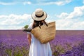 Back view of woman in linen dress and straw hat standing in purple blooming lavender flowers field Royalty Free Stock Photo