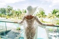 Back view of woman relaxing in luxury five stars hotel on the tropical island. Girl in white summer hat. Vacation time