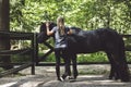 Unrecognizable woman trainer grooming a black horse outside in the forest Royalty Free Stock Photo