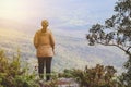 Back view of woman traveler looking at amazing mountains and forest, freedom and active lifestyle concept, travel holiday Royalty Free Stock Photo