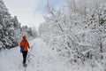 Woman walking in the trail in wintertime Royalty Free Stock Photo