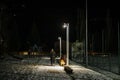 Back view of a woman walking at night with her dog on a leash lit by the light of a street lamp Royalty Free Stock Photo