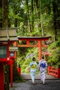Back view of woman wearing Japanese yukata summer kimono Royalty Free Stock Photo