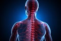 Back view X ray exposes the complex human nervous system anatomy Royalty Free Stock Photo