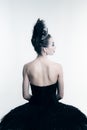 Back view of young ballerina wearing black tutu, stage dress posing  on white studio backgorund Royalty Free Stock Photo