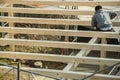 Back view of young carpenter building a carport