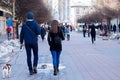 Back view of a young couple walking their dog on the city street Royalty Free Stock Photo