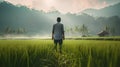 Back view of young man standing in rice field and looking at sunrise Royalty Free Stock Photo