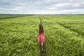 Back view of young romantic slim woman in red dress with long hair walking in green field on sunny summer day on blue sky copy