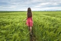 Back view of young romantic slim woman in red dress with long hair walking in green field on sunny summer day on blue sky copy