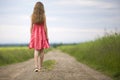 Back view of young romantic slim woman in red dress with long hair walking by ground road along green field on sunny summer day on Royalty Free Stock Photo