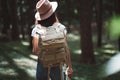 Back view on young traveler woman with traveling backpack and hat among trees in forest Royalty Free Stock Photo