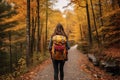 Back view of a young woman with a backpack hiking in the autumn forest, Autumn nature hiker girl walking in national park in