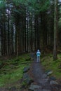 Back view of a young woman hiking alone in Irish forest. Hiking girl is walking in gloomy mystical and dark forest Royalty Free Stock Photo