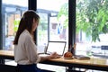 Young woman sitting in cafe and using laptop computer. Royalty Free Stock Photo