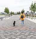 Back view of young woman in yellow hoodie with backpack walking with gray shaggy dog on leash along the alley Royalty Free Stock Photo