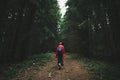 Back of a woman on a hike, walks with the dog in the evening in the woods. Hiker woman in red jacket and with backpack hiking on Royalty Free Stock Photo