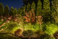 Back Yard Garden Illuminated by Modern LED Lighting System Royalty Free Stock Photo