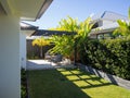 Back yard outdoor pergola sitting area with lushes tropical plants Royalty Free Stock Photo