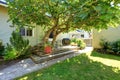 Back yard walkout deck with table set and big tree