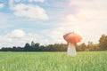 Back Of Young Beautiful woman holding multicolored umbrella in g Royalty Free Stock Photo