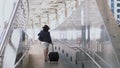 Back of Young businesswoman walking dragging luggage with hastiness