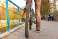 Back of Young Man Riding Bicycle in Urban Park Royalty Free Stock Photo