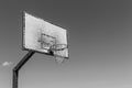 Backboard basketball Royalty Free Stock Photo