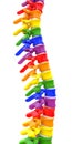 Backbone with colored vertebrae on white