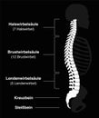 Backbone GERMAN Black Background Royalty Free Stock Photo