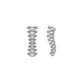 Backbone spine. Vector icon template