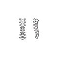 Backbone spine. Vector icon template Royalty Free Stock Photo