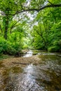 Backbone State Park, Iowa