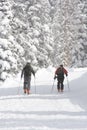 Backcountry hiking in winter